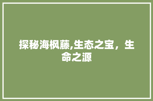 探秘海枫藤,生态之宝，生命之源 电脑配置