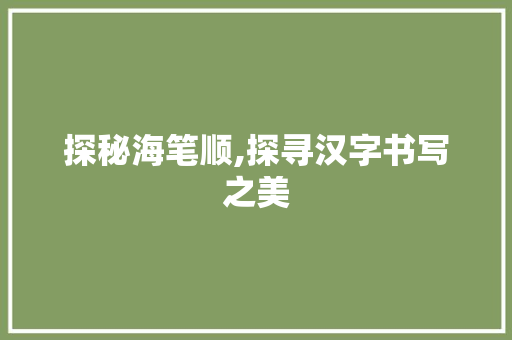 探秘海笔顺,探寻汉字书写之美 网络技术
