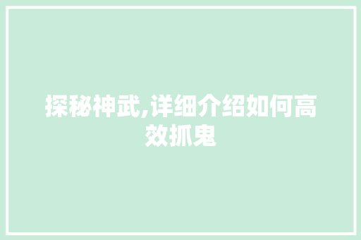 探秘神武,详细介绍如何高效抓鬼 网络技术