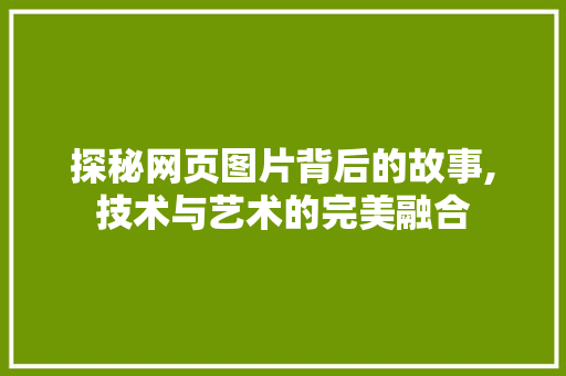 探秘网页图片背后的故事,技术与艺术的完美融合 操作系统