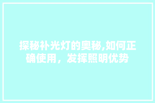 探秘补光灯的奥秘,如何正确使用，发挥照明优势 电脑基础