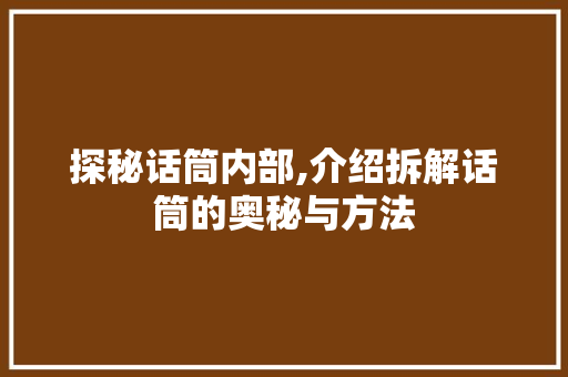 探秘话筒内部,介绍拆解话筒的奥秘与方法 电脑故障维修 探秘话筒内部,介绍拆解话筒的奥秘与方法 电脑故障维修