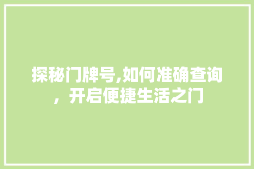 探秘门牌号,如何准确查询，开启便捷生活之门 网络技术