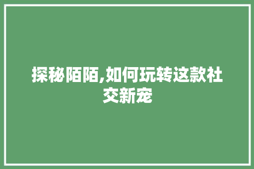 探秘陌陌,如何玩转这款社交新宠 电脑基础