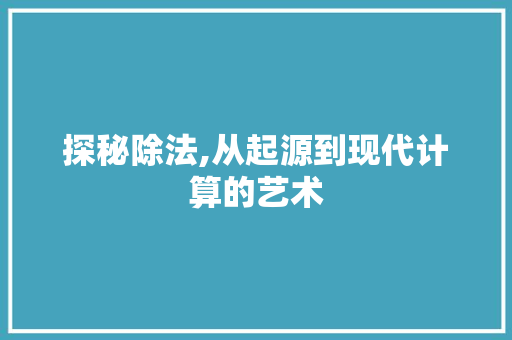探秘除法,从起源到现代计算的艺术 编程语言