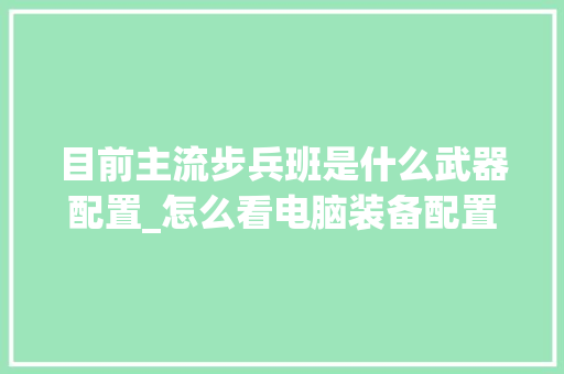 目前主流步兵班是什么武器配置_怎么看电脑装备配置参数