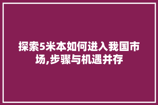 探索5米本如何进入我国市场,步骤与机遇并存