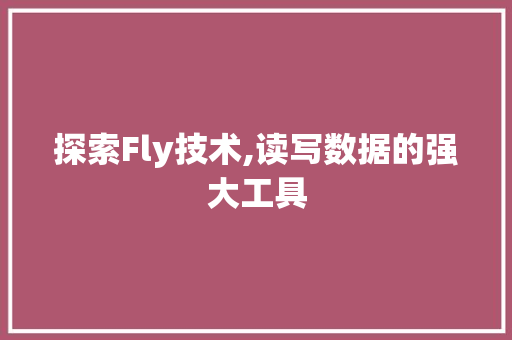 探索Fly技术,读写数据的强大工具