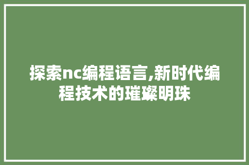 探索nc编程语言,新时代编程技术的璀璨明珠