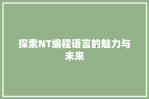 探索NT编程语言的魅力与未来