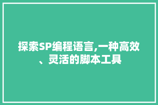 探索SP编程语言,一种高效、灵活的脚本工具