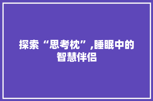 探索“思考枕”,睡眠中的智慧伴侣