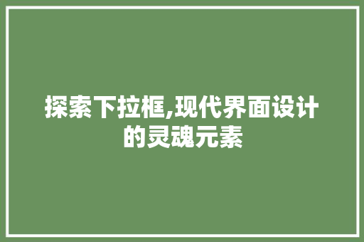 探索下拉框,现代界面设计的灵魂元素