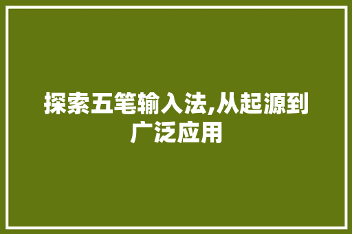 探索五笔输入法,从起源到广泛应用