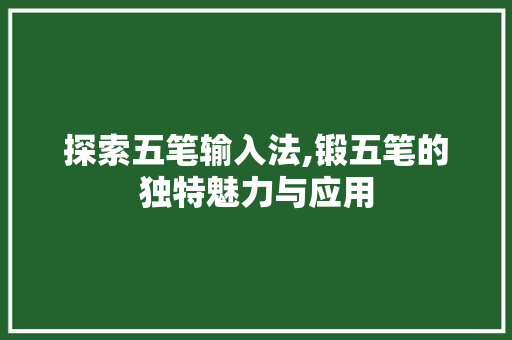 探索五笔输入法,锻五笔的独特魅力与应用