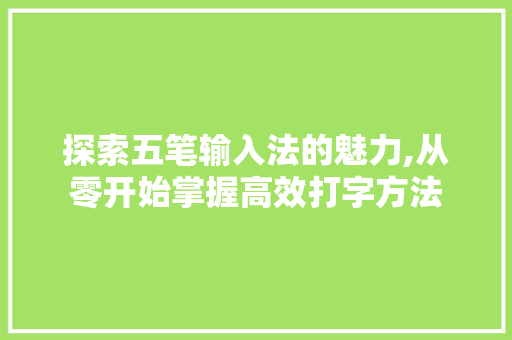 探索五笔输入法的魅力,从零开始掌握高效打字方法