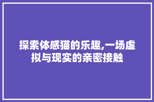 探索体感猫的乐趣,一场虚拟与现实的亲密接触