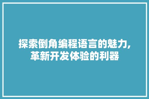 探索倒角编程语言的魅力,革新开发体验的利器