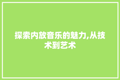 探索内放音乐的魅力,从技术到艺术 操作系统