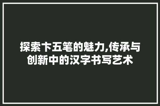 探索卞五笔的魅力,传承与创新中的汉字书写艺术 操作系统
