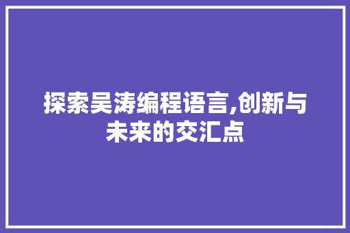探索吴涛编程语言,创新与未来的交汇点