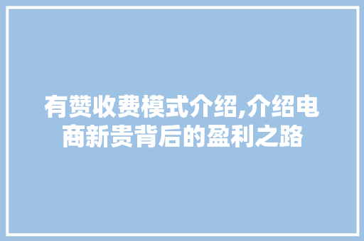 有赞收费模式介绍,介绍电商新贵背后的盈利之路
