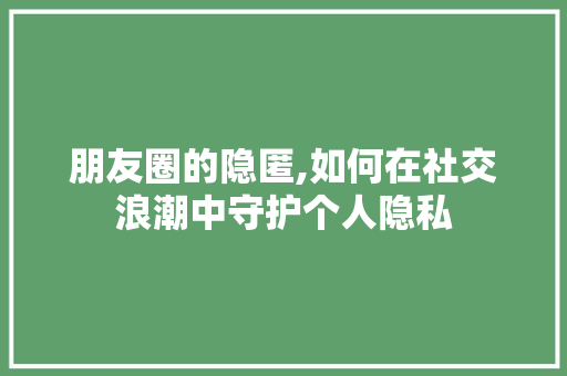 朋友圈的隐匿,如何在社交浪潮中守护个人隐私