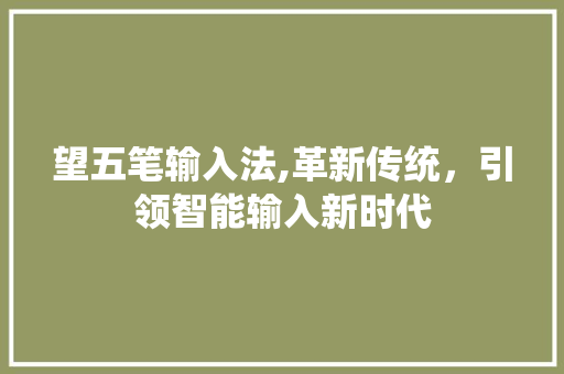 望五笔输入法,革新传统，引领智能输入新时代