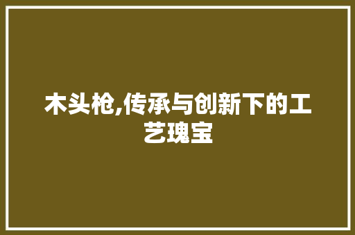 木头枪,传承与创新下的工艺瑰宝 木头枪,传承与创新下的工艺瑰宝