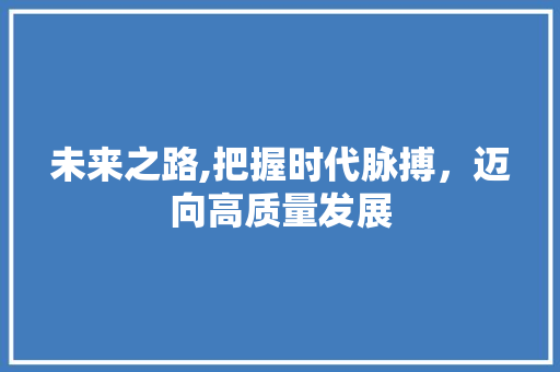 未来之路,把握时代脉搏,迈向高质量发展 未来之路,把握时代脉搏,迈向高质量发展