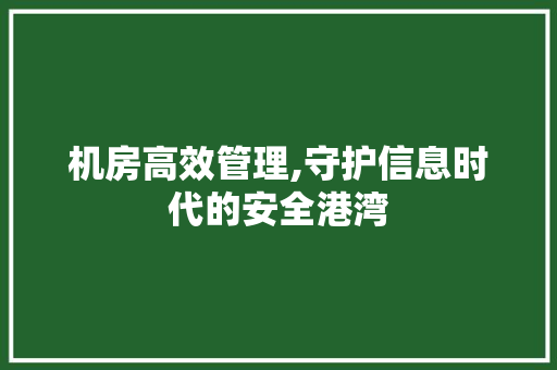 机房高效管理,守护信息时代的安全港湾