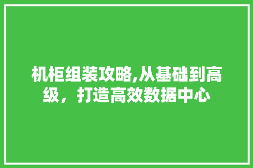 机柜组装攻略,从基础到高级，打造高效数据中心