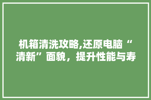 机箱清洗攻略,还原电脑“清新”面貌，提升性能与寿命