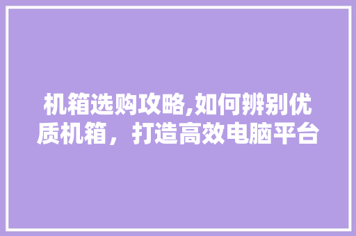 机箱选购攻略,如何辨别优质机箱，打造高效电脑平台