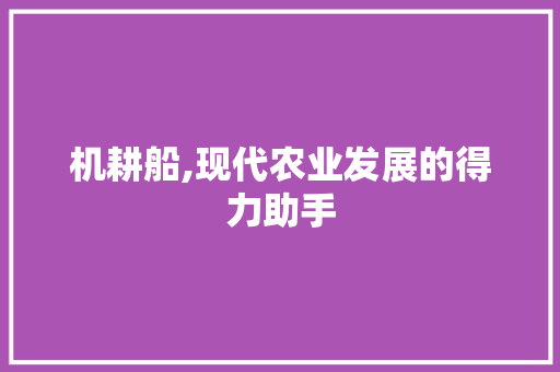 机耕船,现代农业发展的得力助手