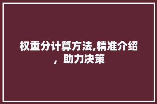 权重分计算方法,精准介绍，助力决策