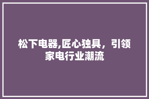 松下电器,匠心独具，引领家电行业潮流