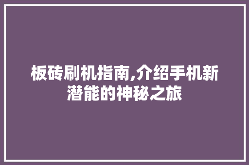 板砖刷机指南,介绍手机新潜能的神秘之旅