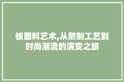 板面料艺术,从熬制工艺到时尚潮流的演变之旅