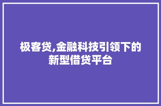 极客贷,金融科技引领下的新型借贷平台