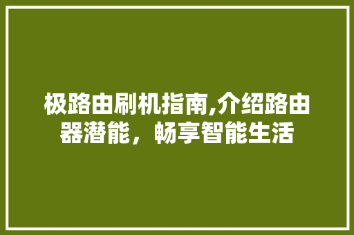 极路由刷机指南,介绍路由器潜能，畅享智能生活