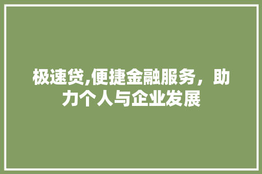 极速贷,便捷金融服务，助力个人与企业发展