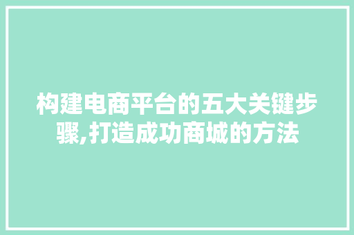构建电商平台的五大关键步骤,打造成功商城的方法