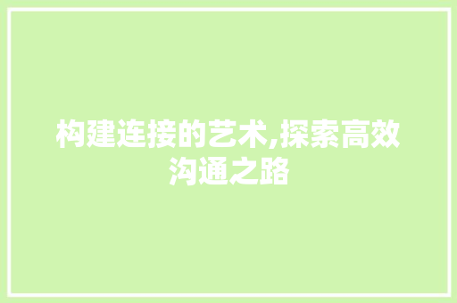 构建连接的艺术,探索高效沟通之路