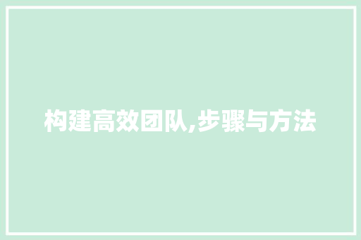 构建高效团队,步骤与方法