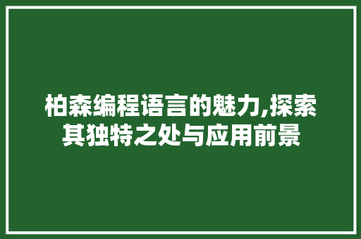 柏森编程语言的魅力,探索其独特之处与应用前景