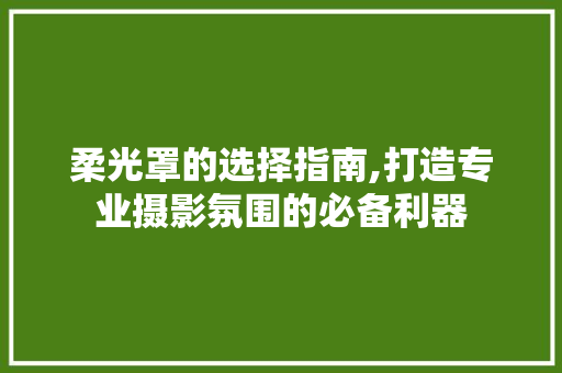 柔光罩的选择指南,打造专业摄影氛围的必备利器