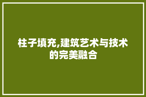 柱子填充,建筑艺术与技术的完美融合