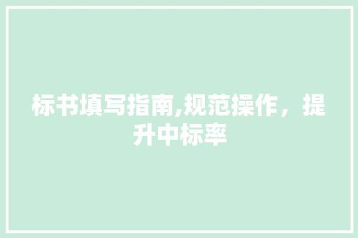 标书填写指南,规范操作，提升中标率