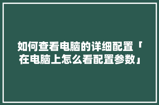 如何查看电脑的详细配置「在电脑上怎么看配置参数」 编程语言 如何查看电脑的详细配置「在电脑上怎么看配置参数」 如何查看电脑的详细配置「在电脑上怎么看配置参数」 编程语言